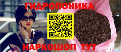 прущие грибы Малгобек